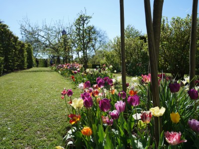 Park of Domaine Claude Bentz