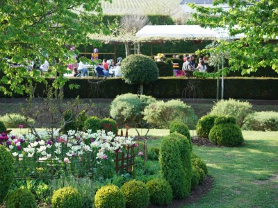 Wine Tasting - Open House Days