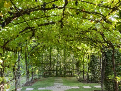 Garden of Domaine Claude Bentz