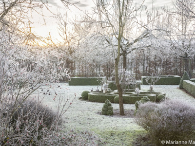 Park in winter