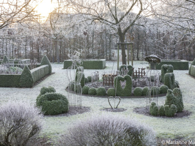 Park in winter