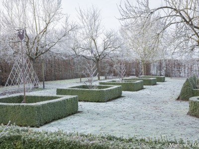 Park in winter