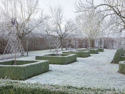 Our garden in winter