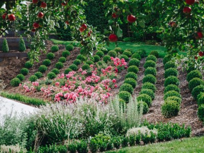 Park of Domaine Claude Bentz