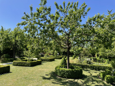 Park of Domaine Claude Bentz