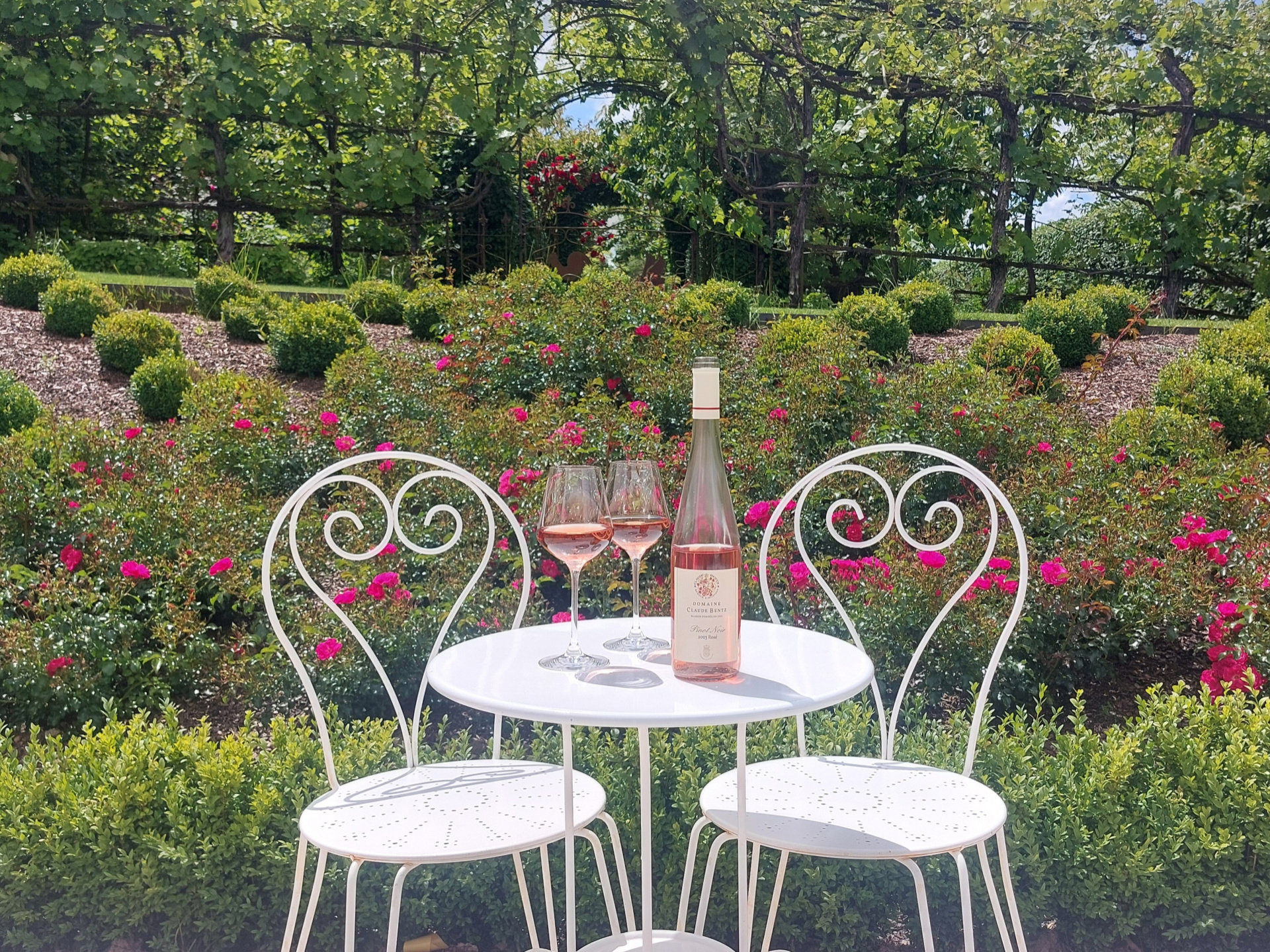 afterwork rosé