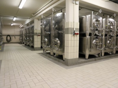 Cellar