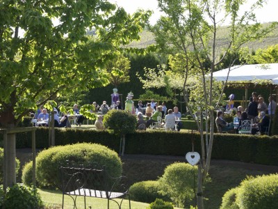 Wine Tasting - Open House Days